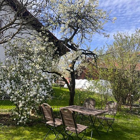 Zimmer Zum Wohlfuehlen Eching  ภายนอก รูปภาพ