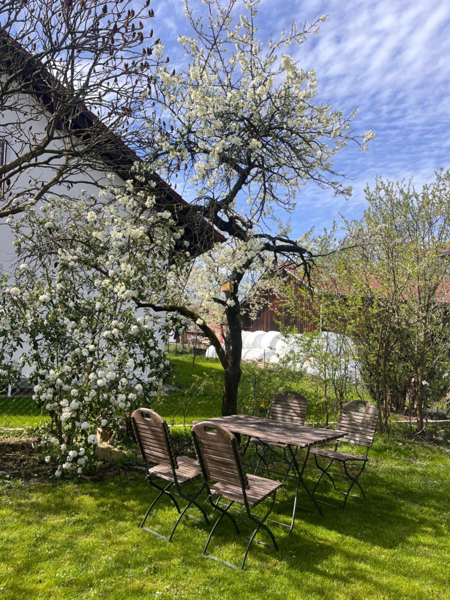 Zimmer Zum Wohlfuehlen Eching  ภายนอก รูปภาพ